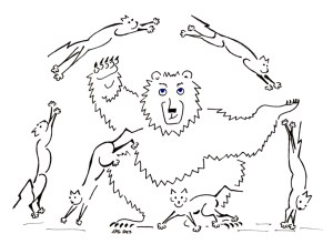 Bear cats